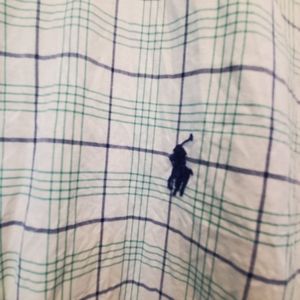 Polo Button down shirt